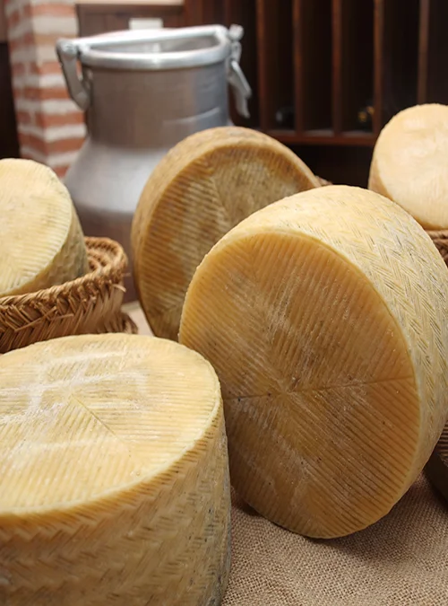 Semicured Artisan Sheep´s Milk Cheese - Aged 3-4 months - Image 4