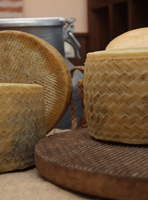 Old Spanish Manchego Sheep Cheese - Aged 10 months - Image 3