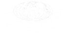 | Mercurius Trade | Global Export-Import Solutions Logo