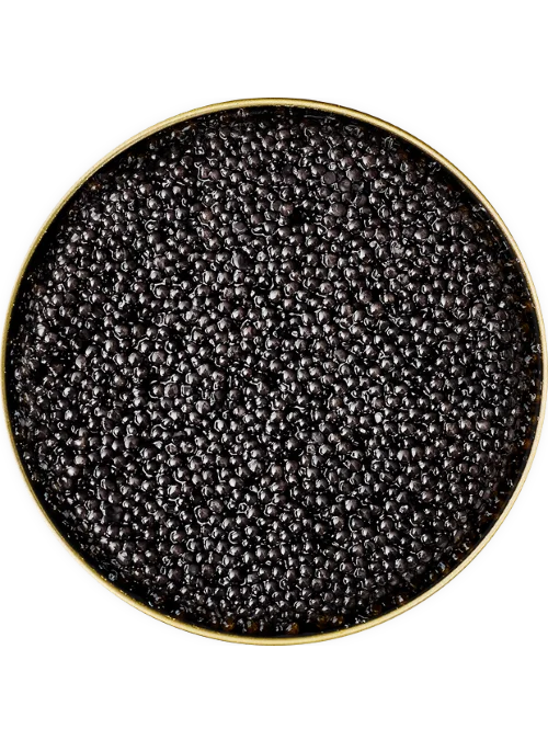 Sturgeon Caviar Classic 500gr - Image 2
