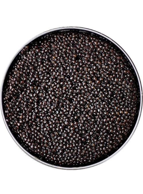 Sturgeon Caviar Premium 500gr - Image 2