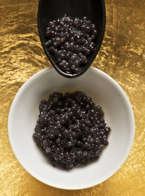 Sturgeon Caviar Premium 500gr - Image 5